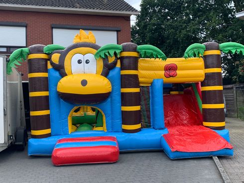 Springkasteel Aap uit het aanbod van Aerts